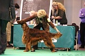 Crufts2011 827